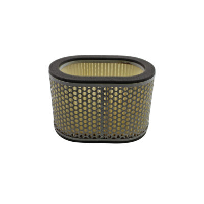 Filtrex Standard Air Filter – Cagiva