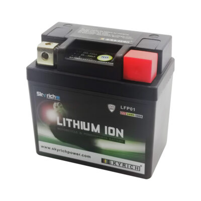 SPS SkyRich Lithium Ion Battery [LFP01]
