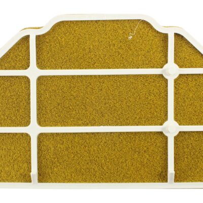 Filtrex Standard Air Filter – Kawasaki