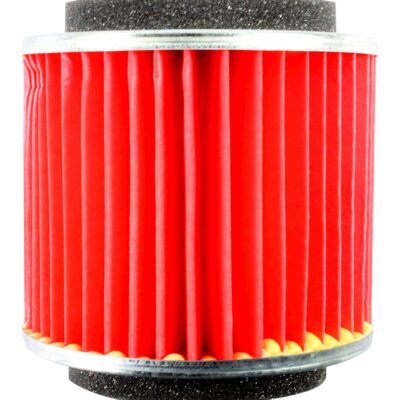 Filtrex Standard Air Filter – Yamaha