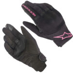 Black Fuchsia