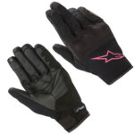 Black Fuchsia